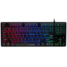 Keyboard 2E GAMING KG290 87key, USB-A, EN/UA/RU, LED, black